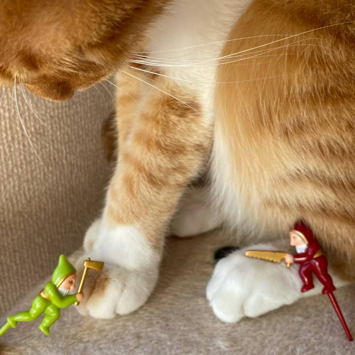 5f361903 3b11 4b6e 92cb e8cca7f793f6 1671950703901