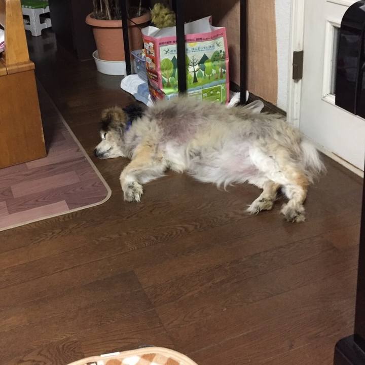 5f3622c0 a452 4b97 95aa 560070479add 1595338674172