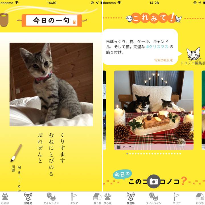 5f3641dd 28a6 4cd1 8b9e 65e32eb02f79 1545634601610