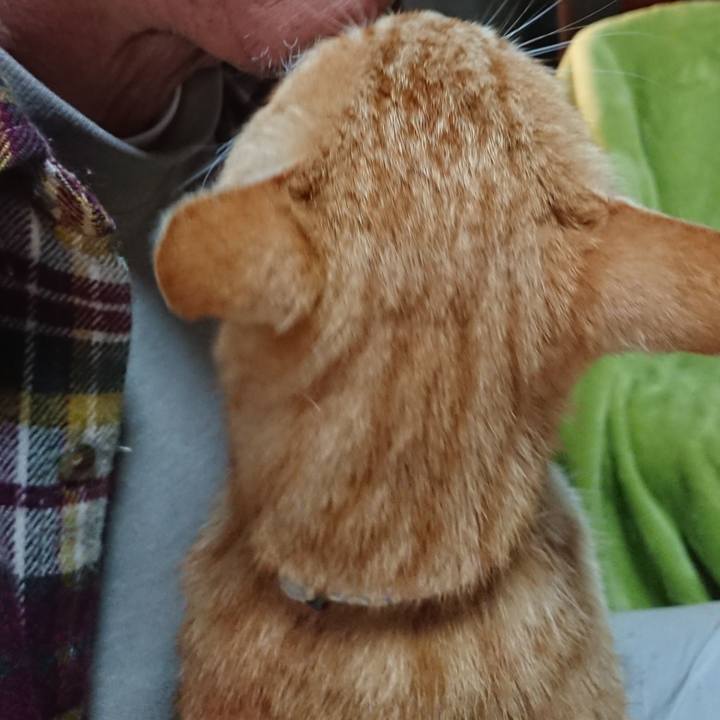 5f36a535 624e 408d 8ba9 38aed4b93fdc 1589316319768