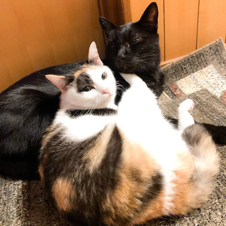 5f36a852 1cde 4c24 aced 5812676151f2 1578019492895