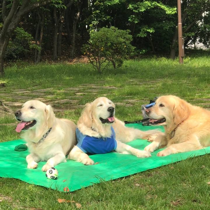 5f36b79c 6ccb 431b ac54 068e511d5fbf 1557139129593