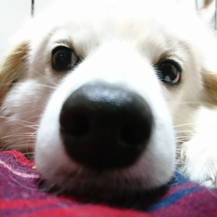 5f36c3cb 9129 4ac5 96f7 8f9b7ec8b77c 1513937793587