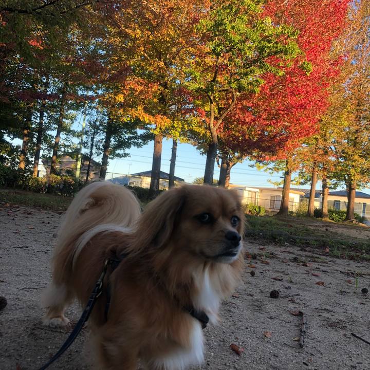 5f36da06 6c15 471c 8a26 32fe35ea902d 1538951564335