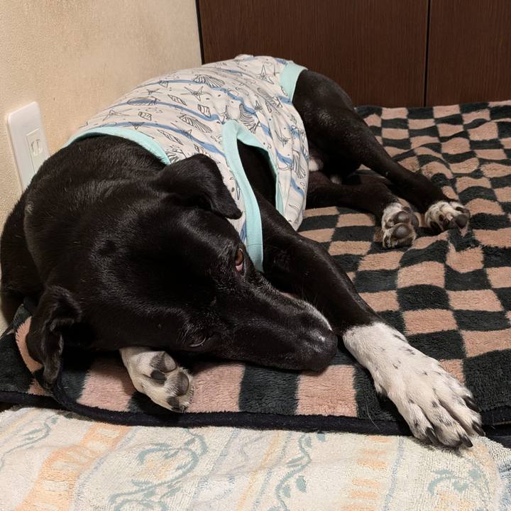 5f36fea5 6278 49be b547 40e6bbee85a5 1732667148798