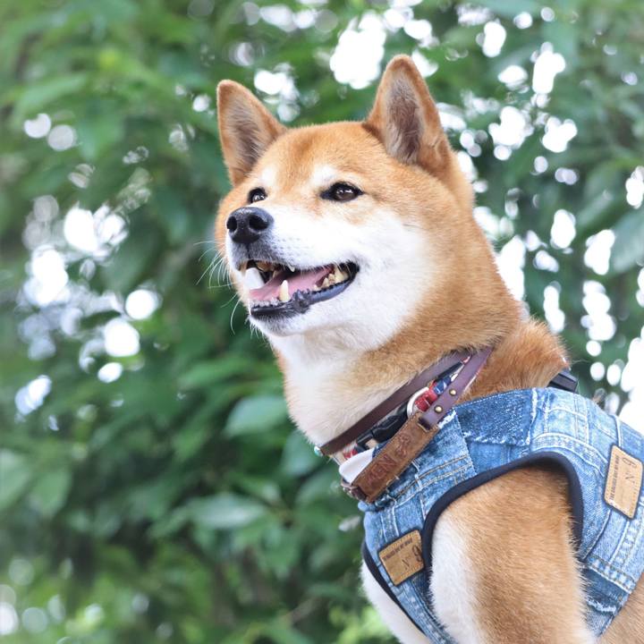 5f370de5 330d 47f2 8009 157db25b5536 1654519726122