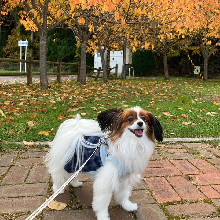 5f37116a db72 4b3f 88c8 753daca042e0 1762149505364