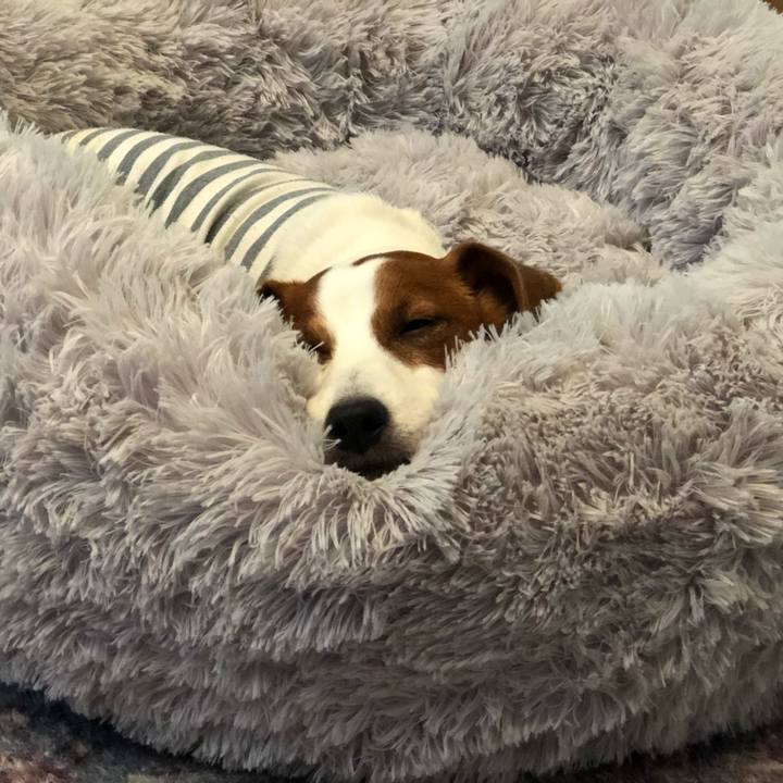 5f371bd6 0f05 4e73 8c88 2479fc014ce0 1638090435027