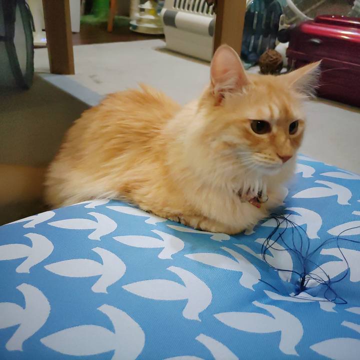 5f372d65 81d9 4b3c b765 5ce2891e58de 1691929761599