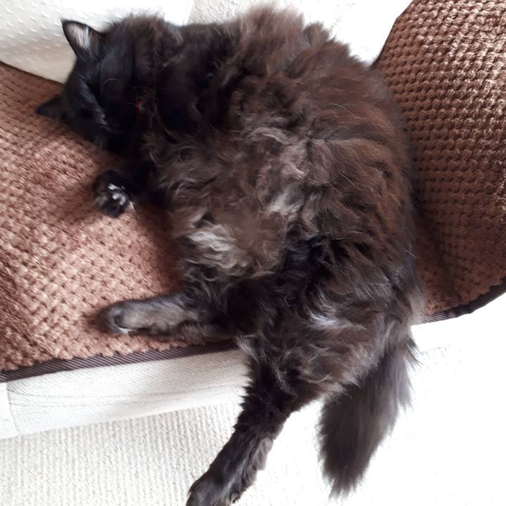 5f3735ee 00a2 4858 9ff5 c6b9c7a0ef52 1518927150808