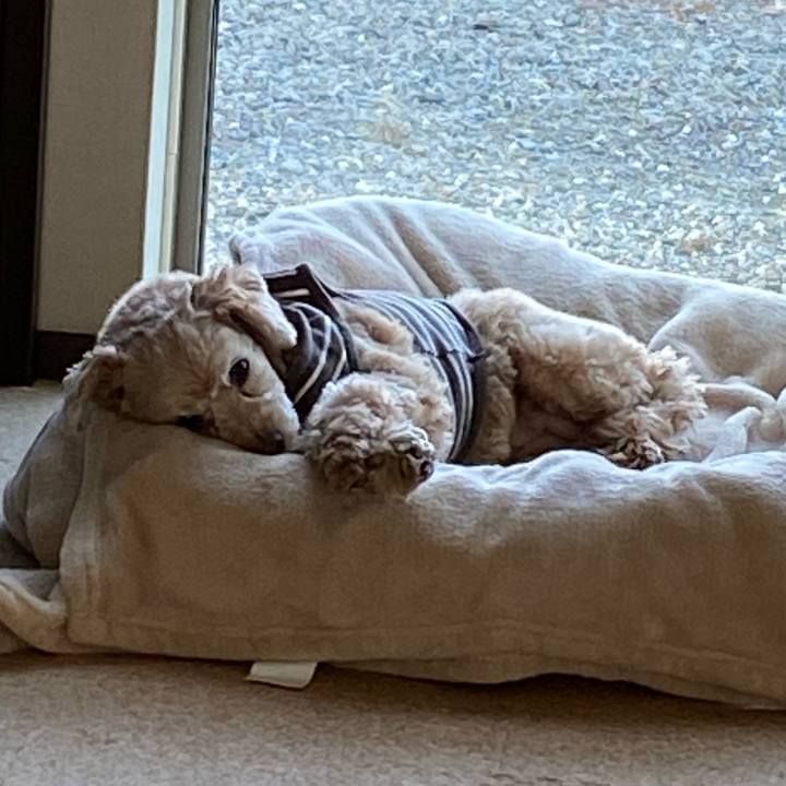 5f3763b8 09c2 46ac 96cd 70d5e47b47c2 1608079608300