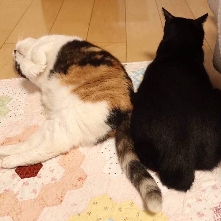 5f3767db 4e38 4df4 95b4 3ea7528c6404 1562513684032