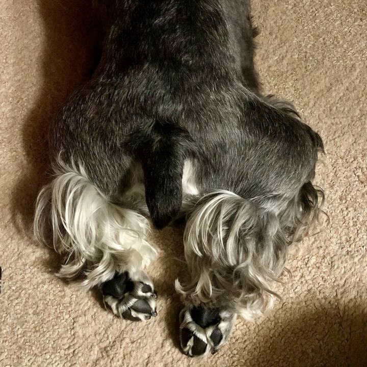 5f377417 162a 4390 a40f 9ec2efd5b777 1657547186599