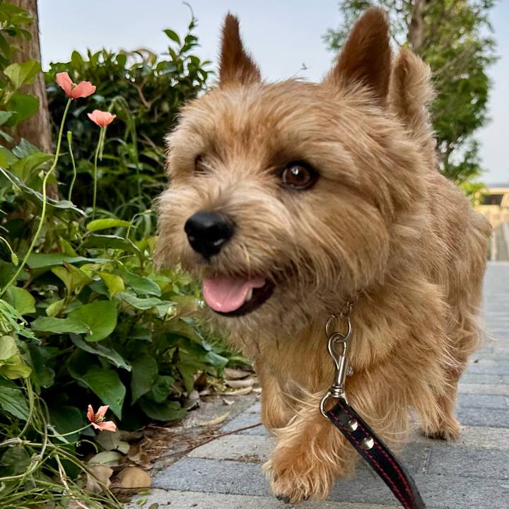 5f377df1 ac58 4a5f 92f4 797c893df45e 1747254235675