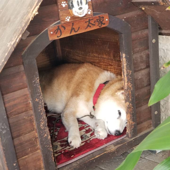 5f378faa 811b 43a4 9351 6bc686ffc561 1723076666782