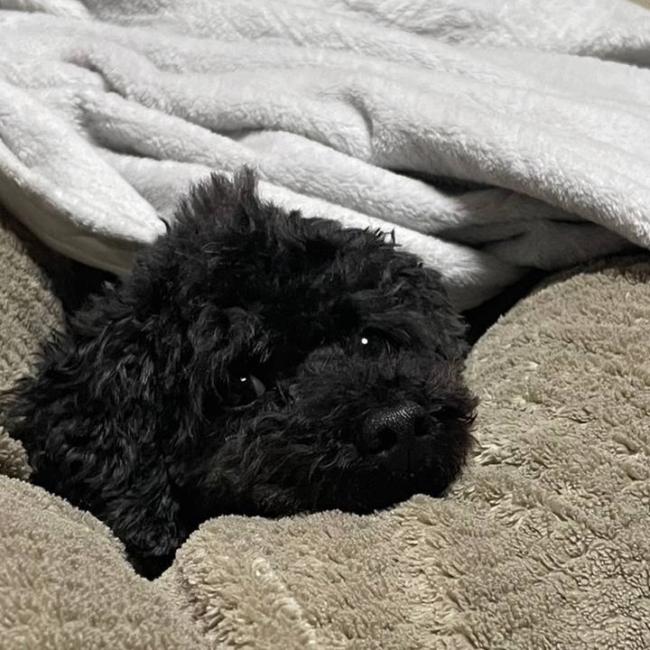 5f37d301 4db5 4b46 9a5a bec2febc658d 1674740812716