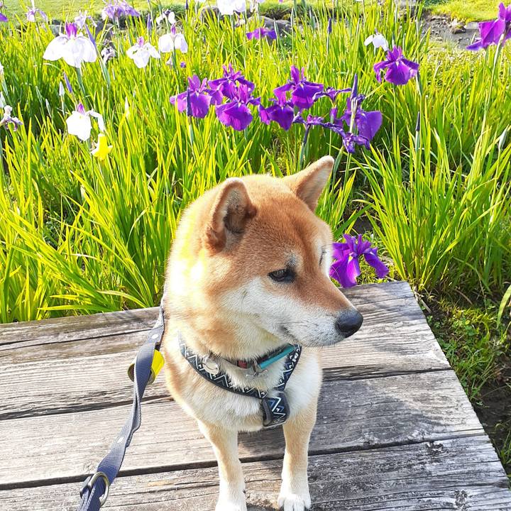 5f37d6cc 0245 43f7 ad19 69f8bff5d550 1685576709423