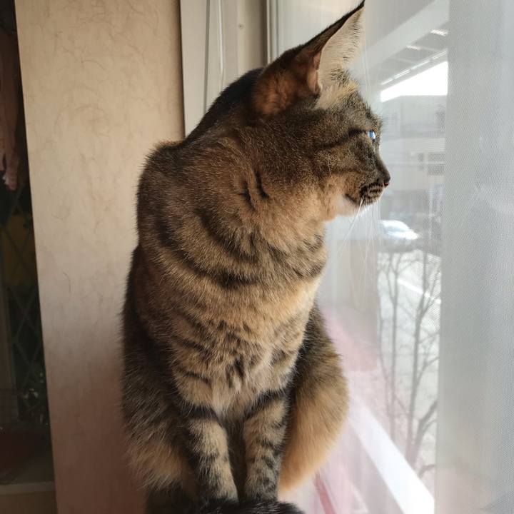 5f37dbc7 280e 4f7c a765 7b390acf8927 1553575997939