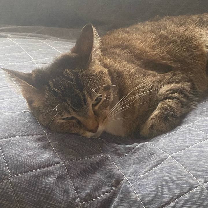 5f37f87f cbba 4de5 b3a5 a81b7ac69a36 1760146426032