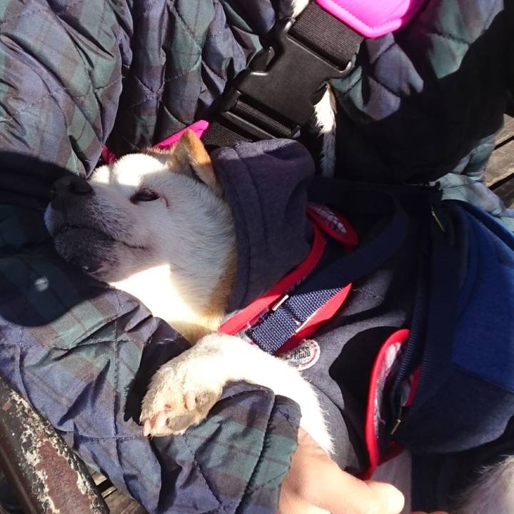 5f38191a 7cee 4922 8098 134d56d968f8 1576453396677