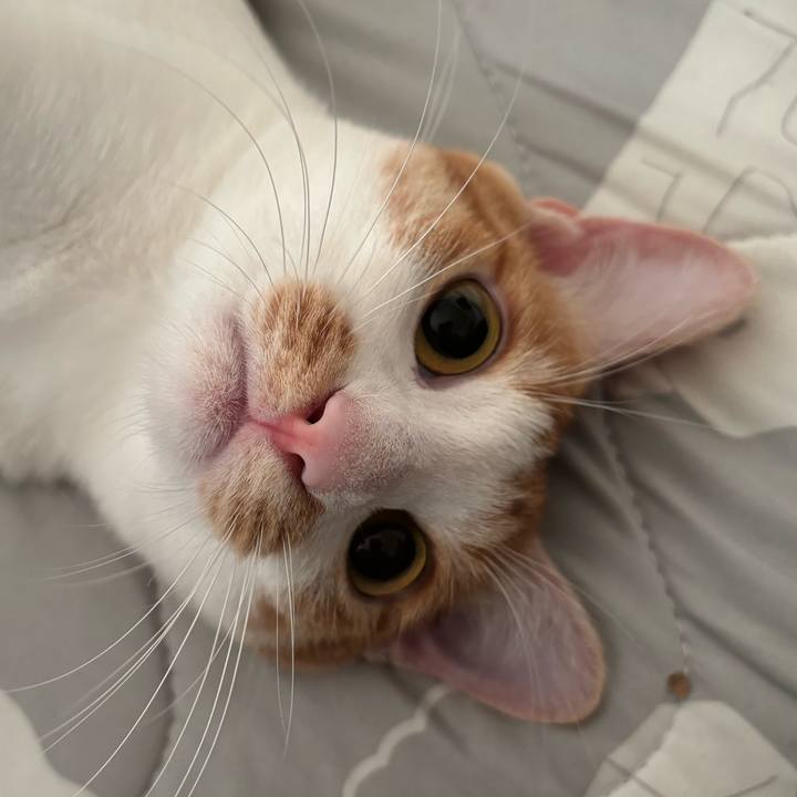 5f383a19 58c1 4958 8756 0c997b828a74 1721427018414