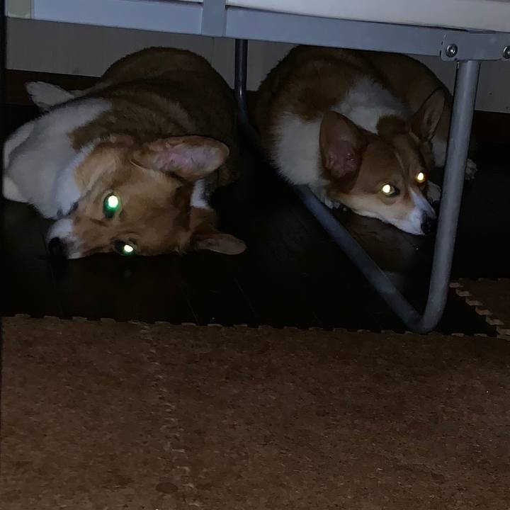 5f3840ae 67c3 4569 9aa4 ac5341308c5b 1566900618927