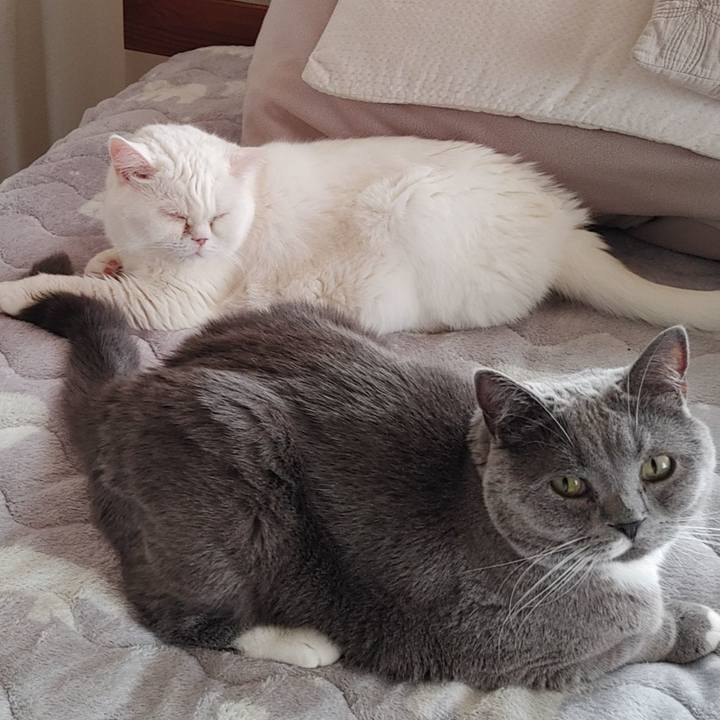 5f38590c 4ac4 4fa3 9161 04eb2f5ce946 1641771575430