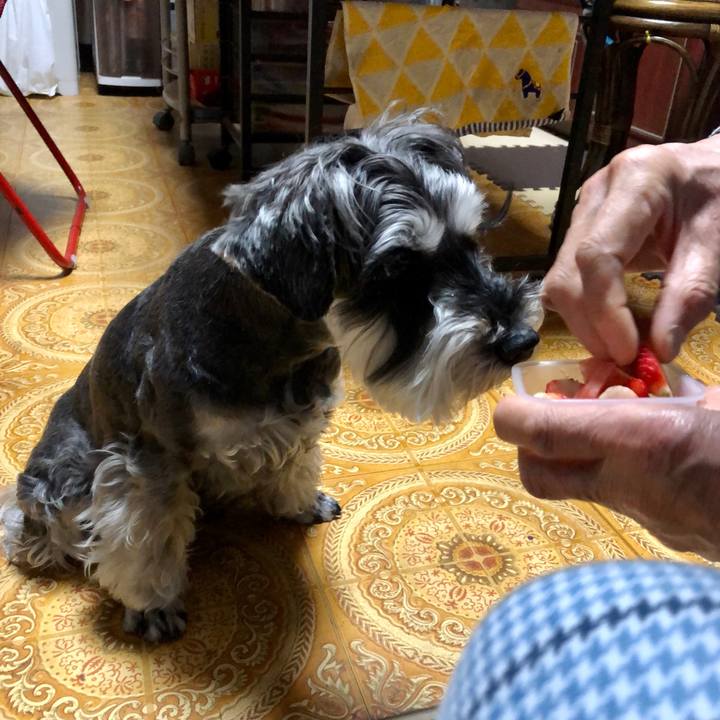 5f38681c 3d7d 4e87 ad1e 64d8f766042f 1653084867634