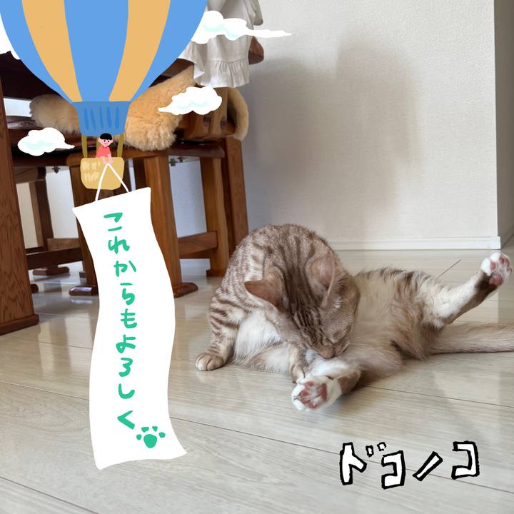 5f3873a2 eb97 41a7 9cfe 6d83b6671222 1685936119785