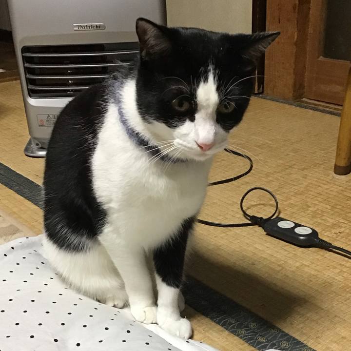 5f38971a 8c50 4975 82ed de1f38884b7b 1667651500692