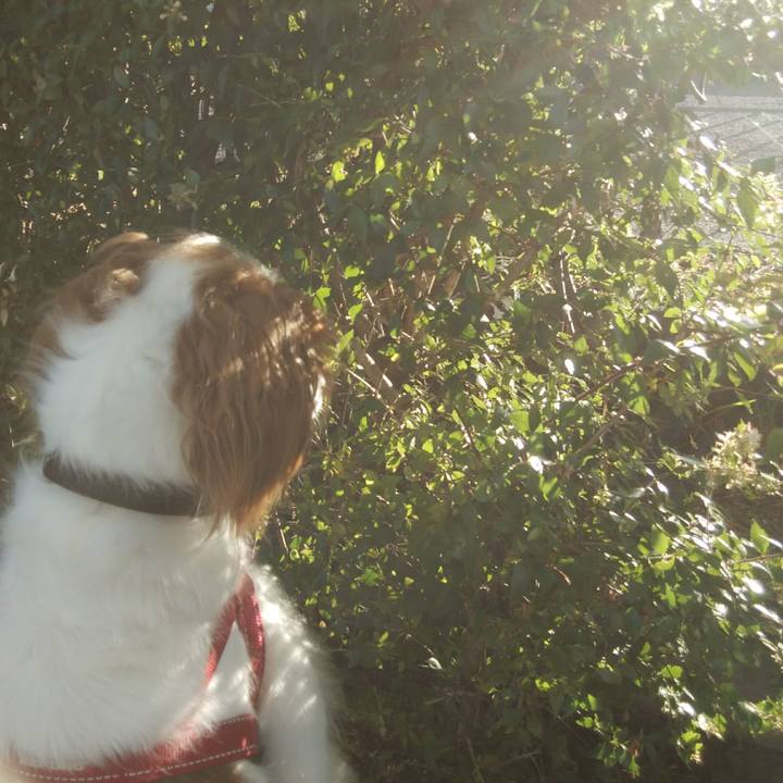 5f38be72 3538 4bc0 9806 516a139899eb 1532336621486