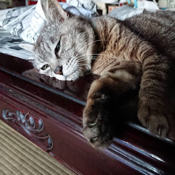 5f38cce4 bd2d 4e0e adaf 7e9cebcf47a0 1564994943317