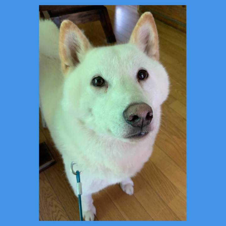 5f38f1a4 5b30 417f aba8 ff4451e5153f 1595031602587