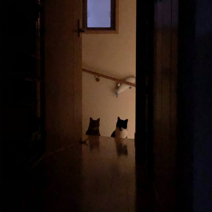 5f38fdfb 7397 4375 b12c 0c440b4e9675 1614202042776