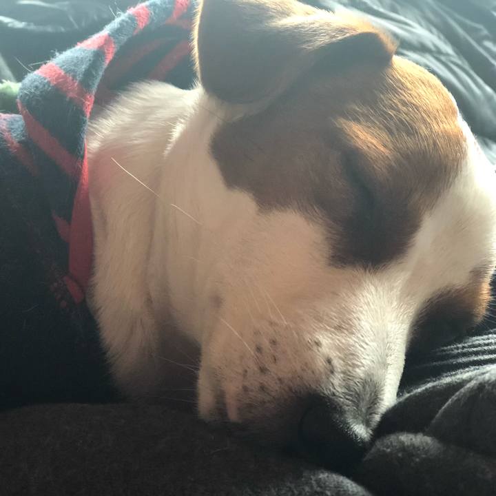 5f3907be e489 4925 bf84 1d2735ce4346 1554288379649