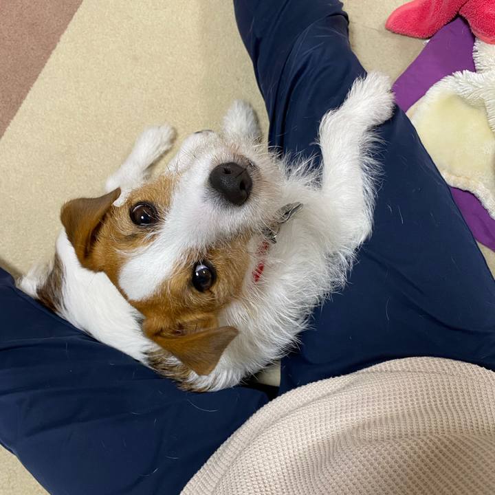 5f39139b b421 4f75 89a2 db81ac1c189c 1653089482225