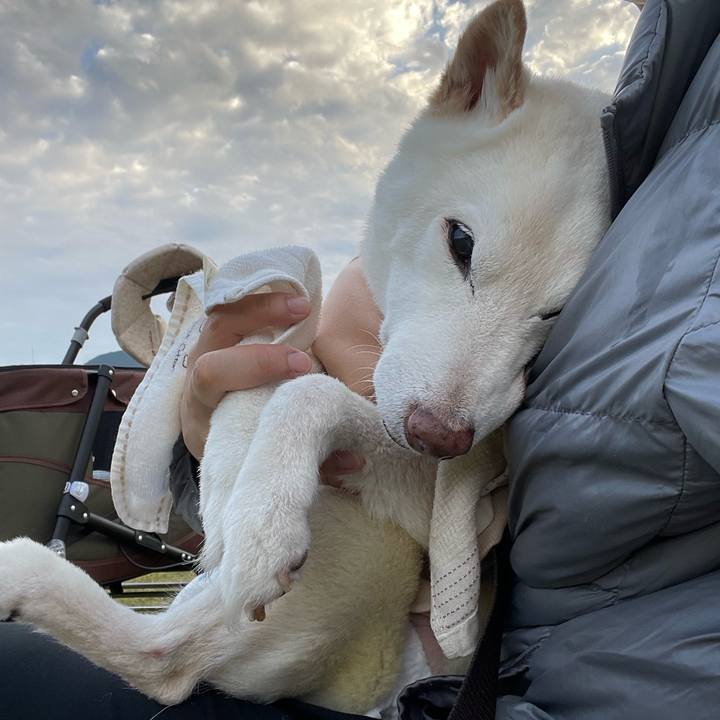 5f3913b8 e99e 4f3f bfc0 366b3f1d20e2 1668856694303