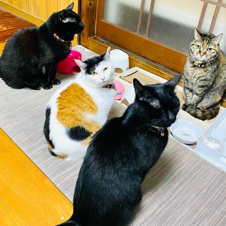 5f396a1b 28c9 445b 96b7 5696425183c5 1734526638387