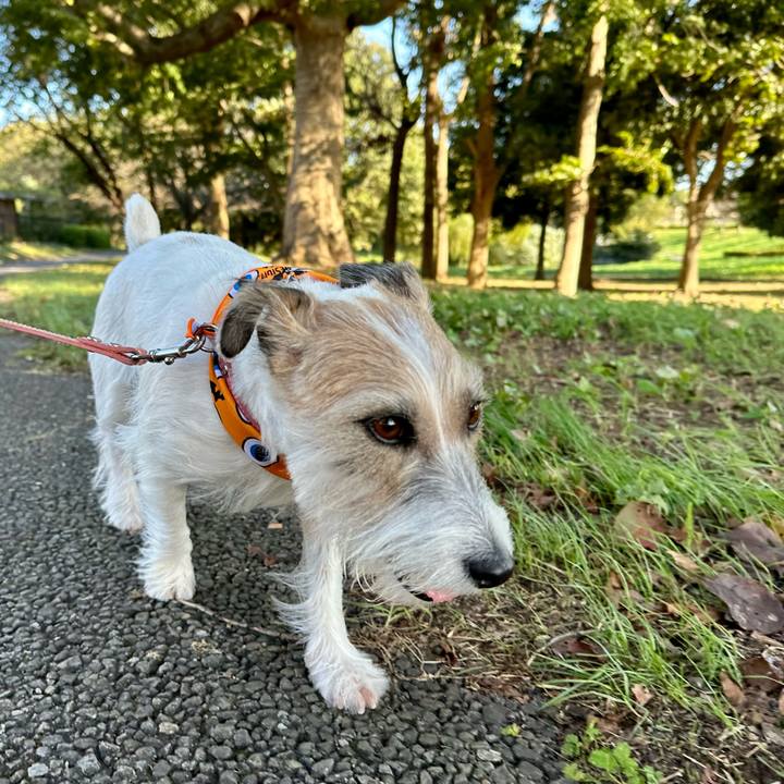 5f39a9ec 784b 46df b7f0 1f8f8400b809 1696597063779