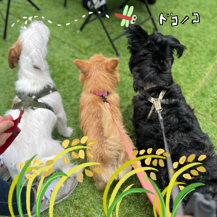 5f39eb13 3a41 4775 a087 b63bc0ebb974 1761379059750