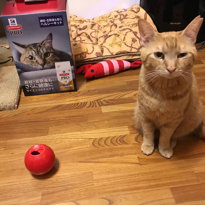 5f39f88b 4a7e 47c7 bf5a 419f7c0b3696 1592652914573