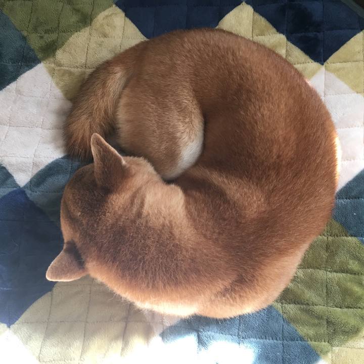 5f39f98f 4219 4c6a 9554 9157ce1787b1 1517651728973