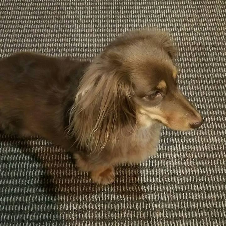 5f3a14a0 9181 42a5 aa36 eee33c35812c 1537446807896