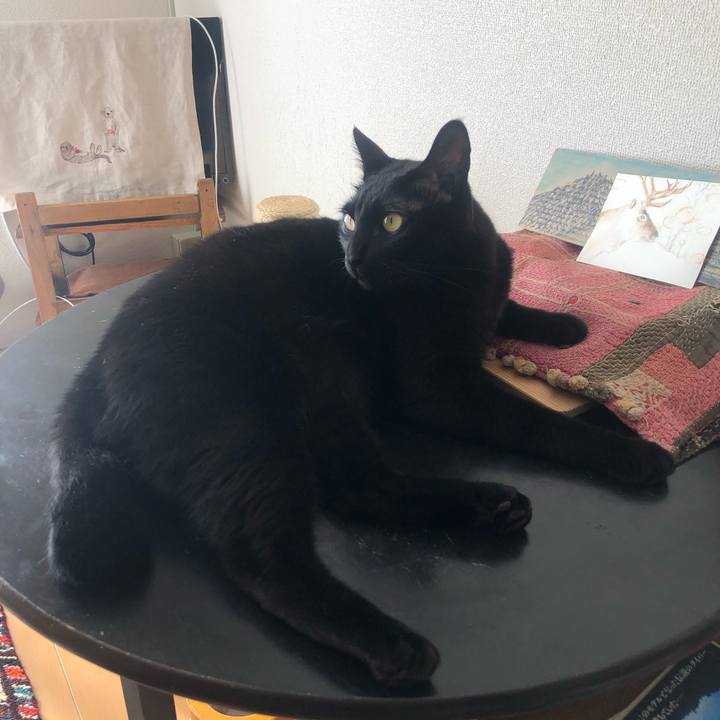 5f3a1feb 48bc 4a46 90f2 4a5b4cde7f0e 1577506512843