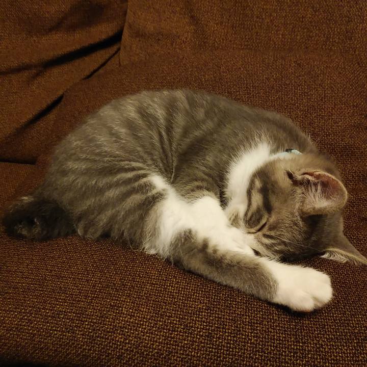 5f3a2705 b2c8 4cce b3c7 2d867dab4125 1563811849287