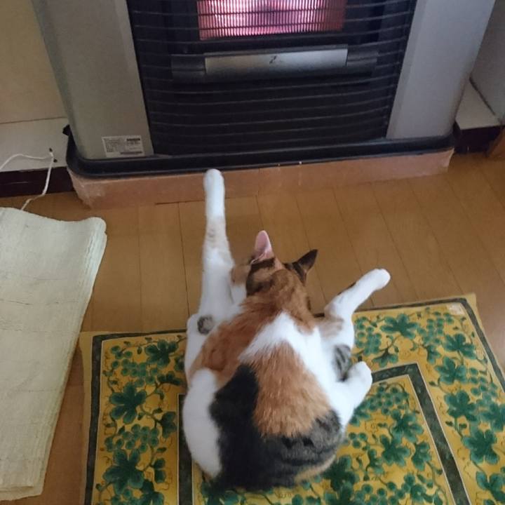 5f3a4fe8 d8ce 4f37 8023 59aec0c922ab 1624146431397