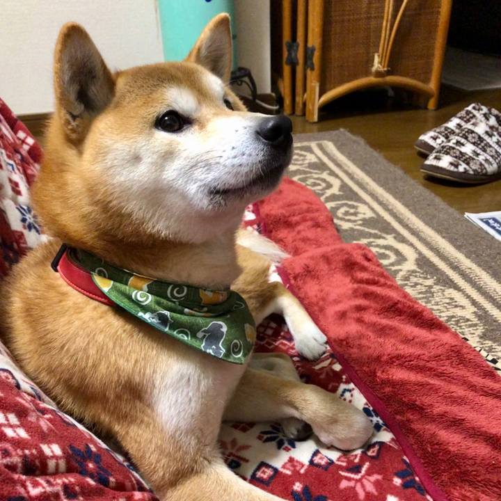 5f3a7be4 4e76 4709 a58a 895caf6263c6 1547621593465