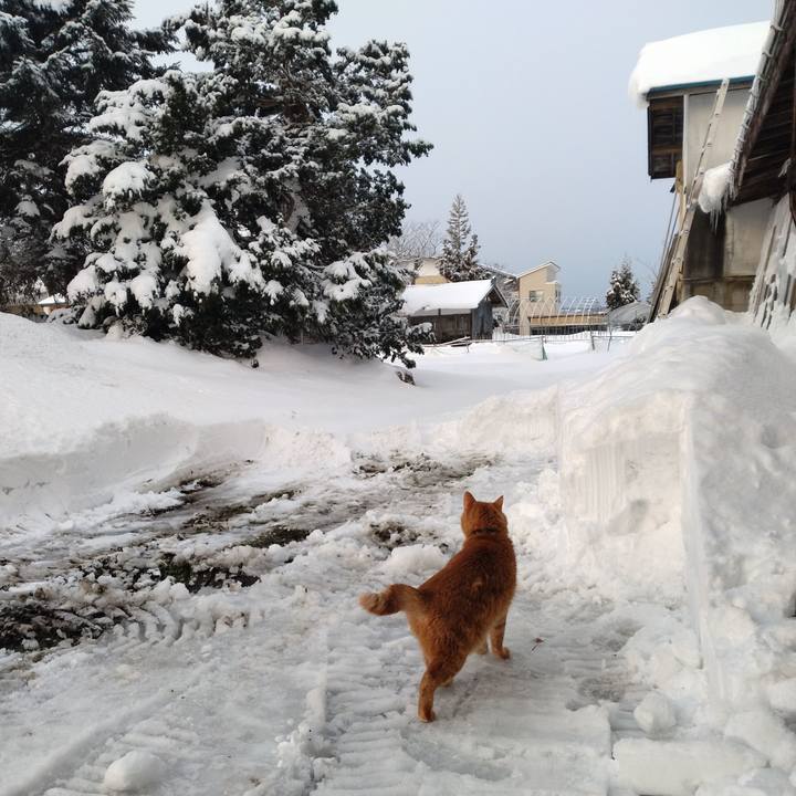 5f3a989d a122 429d a1c1 eb5fff0a0058 1768286589603