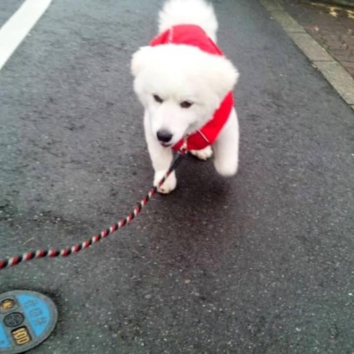 5f3ab269 ba48 47e1 9185 fcf4446a6b80 1685393487786