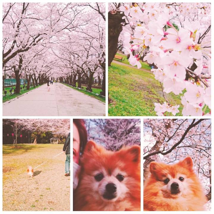 5f3ad915 e8e0 4e85 8d85 2fb5579430b2 1554974463905